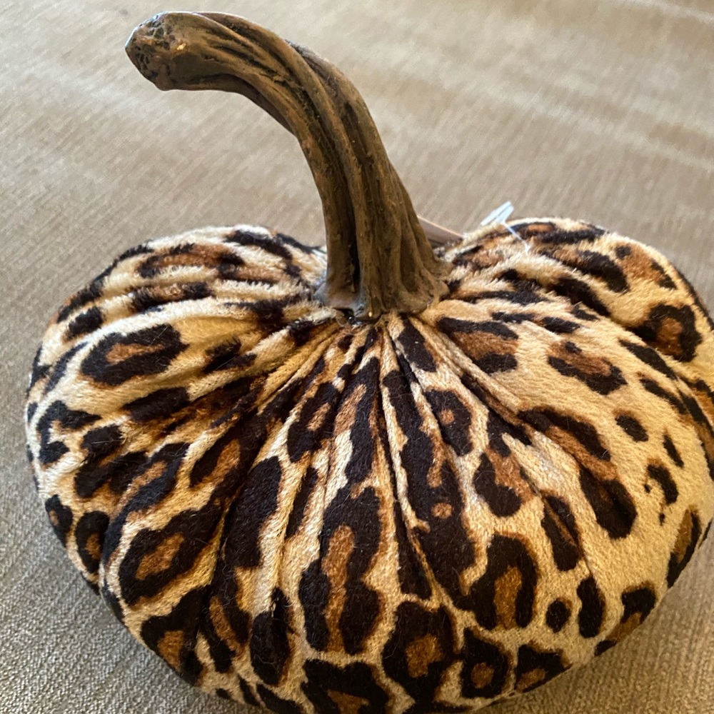 Cheetah Print Pumpkin 💖